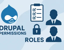 Permissions & roles